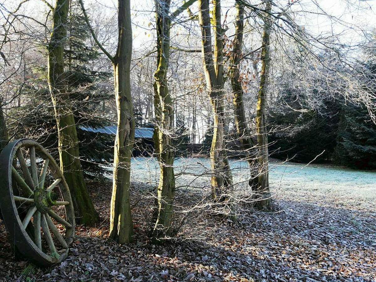 Zur Schanze Holtgast-Apen Exteriör bild